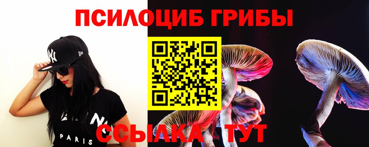 Донской  Псилоцибиновые грибы GOLDEN TEACHER  Вход с VPN 