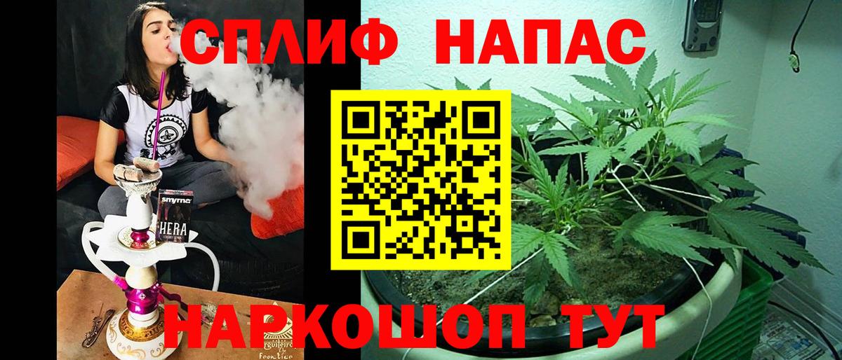 Каннабис сатива Донской